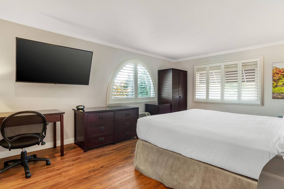 A bedroom with a bed, a desk, a chair, a dresser, a TV, and windows with blinds.