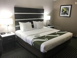 In-room safe, desk, laptop workspace, iron/ironing board - Quality Inn Savannah I-95 (Savannah)