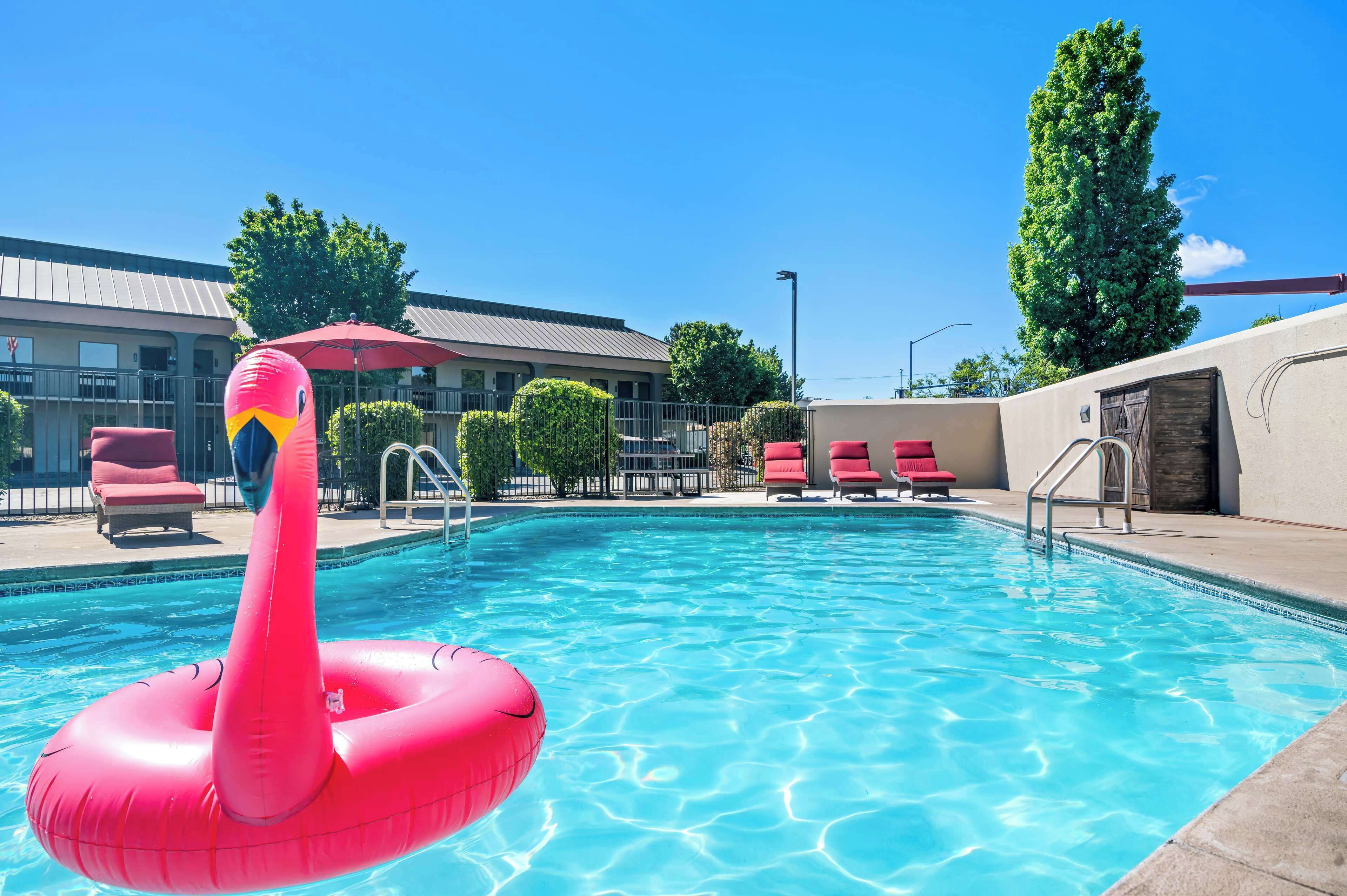 A swimming pool with a pink flamingo float, red lounge chairs, and a building with a metal roof in the background.
