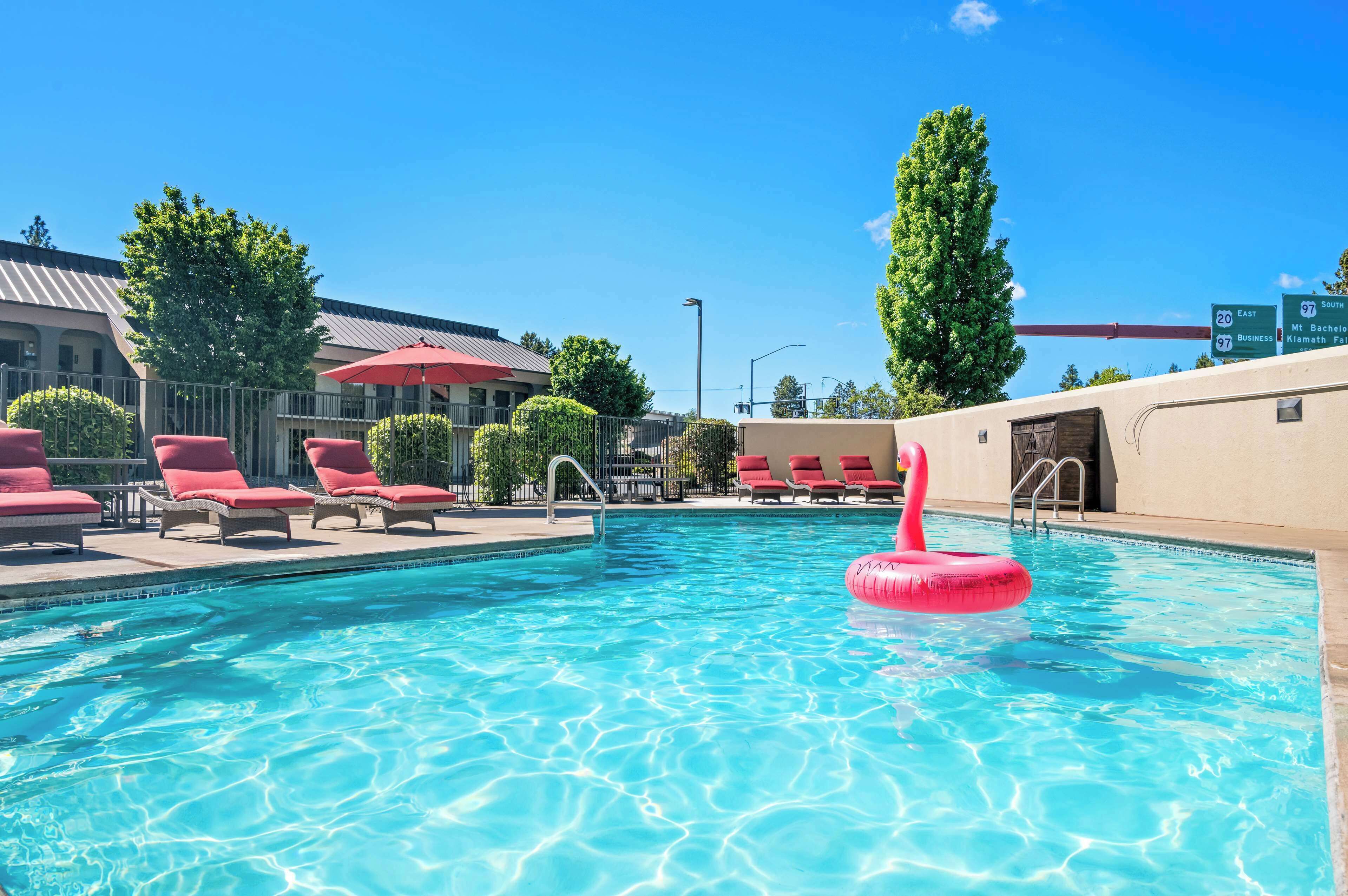 季节性开放的室外游泳池，日光浴躺椅