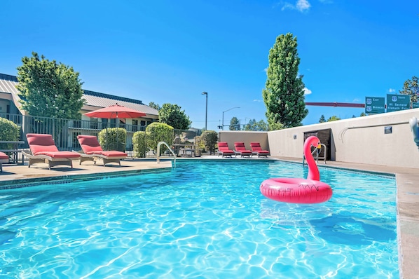 Seasonal outdoor pool, sun loungers