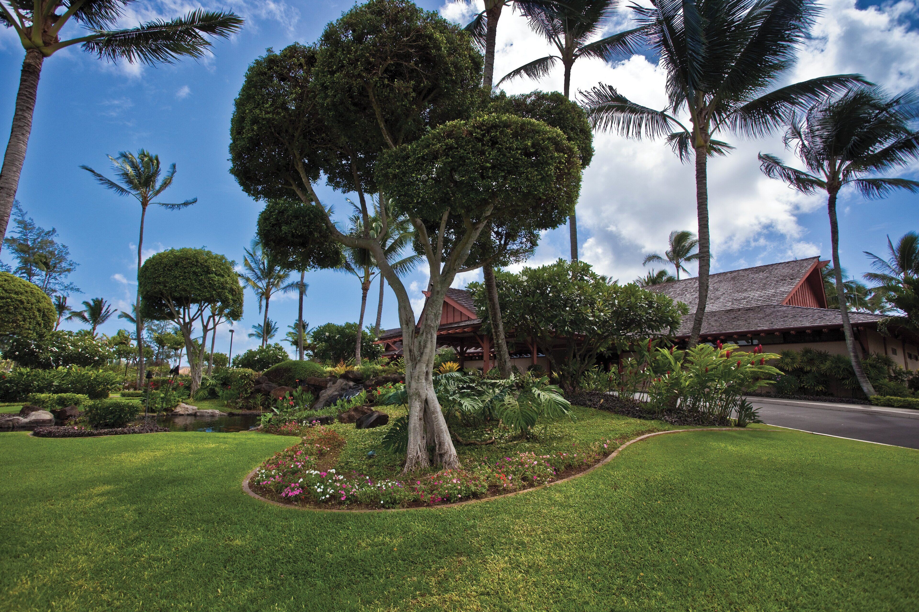 Un jardin tropical avec un bassin, des palmiers et un bâtiment doté d’un toit rouge.