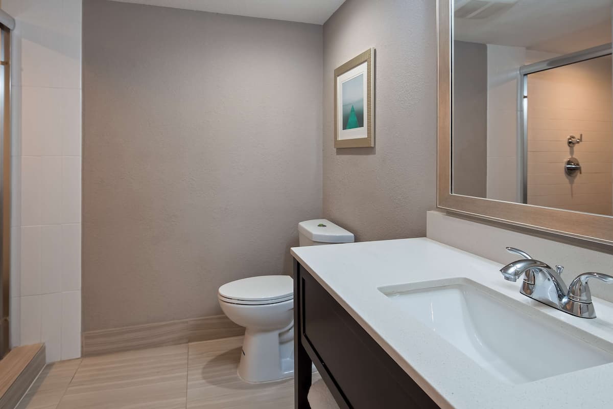 eco-friendly toiletries, hair dryer, towels, soap