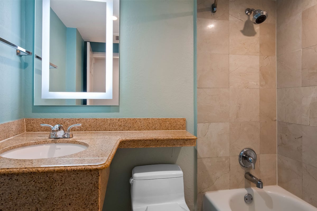 eco-friendly toiletries, hair dryer, towels, soap