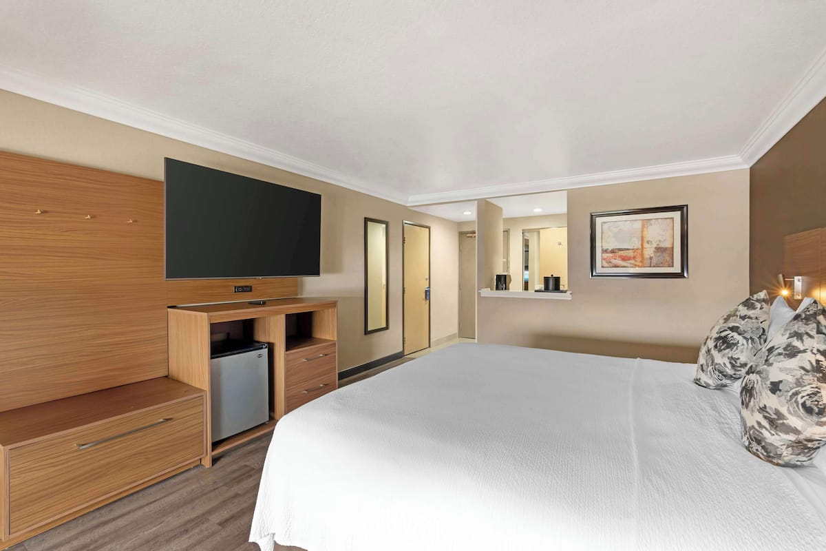 Une chambre d’hôtel avec un grand lit, un téléviseur à écran plat, un petit réfrigérateur, une commode en bois et un miroir.