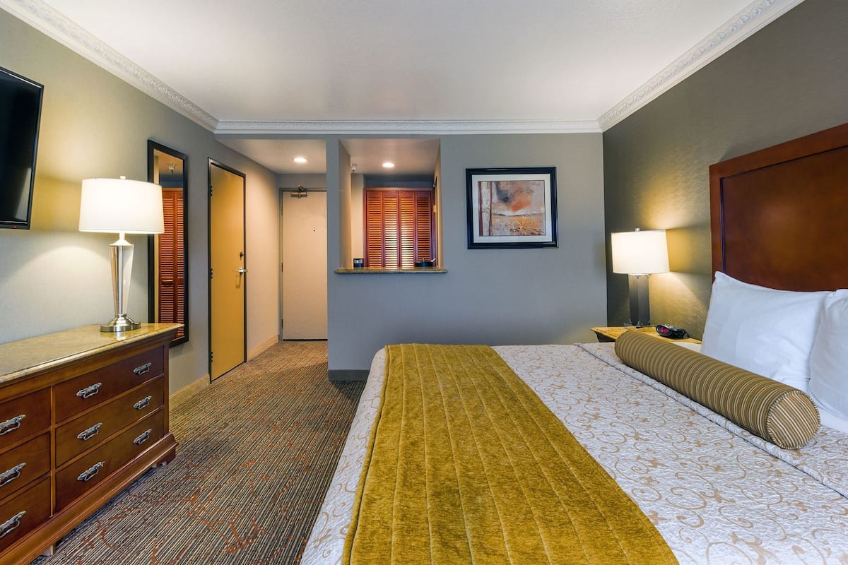 Une chambre d’hôtel avec un lit, une commode, une télévision et un tableau encadré au mur.