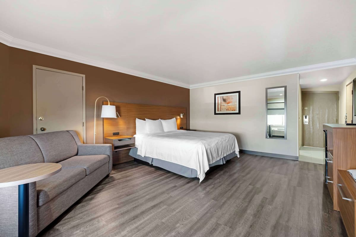 Une chambre d’hôtel avec un lit, un canapé, une table de chevet, une lampe, un miroir et une porte.