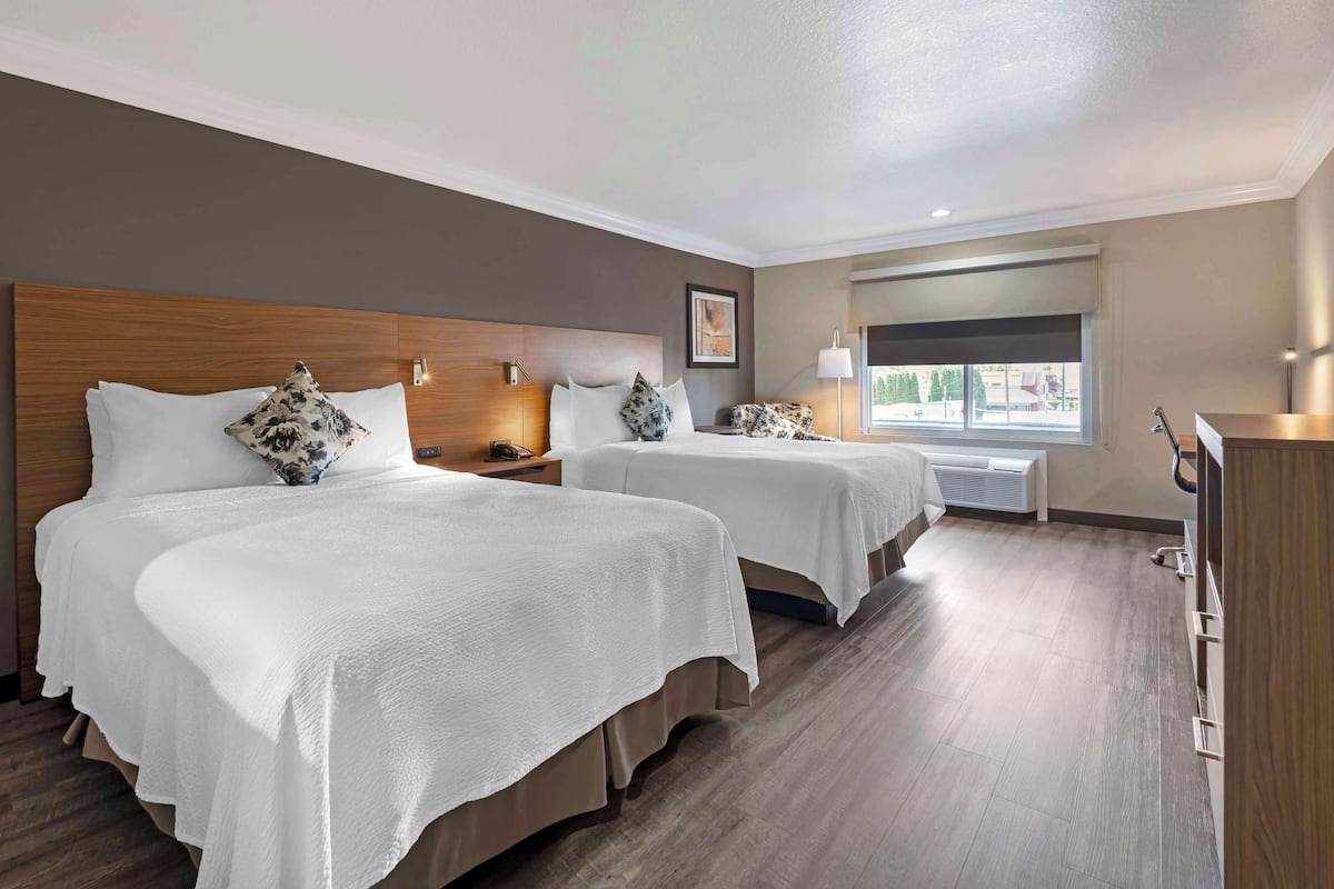 Une chambre d’hôtel avec deux lits, une tête de lit en bois, une table de chevet avec une lampe, une fenêtre donnant sur un paysage agréable et un bureau avec une chaise.