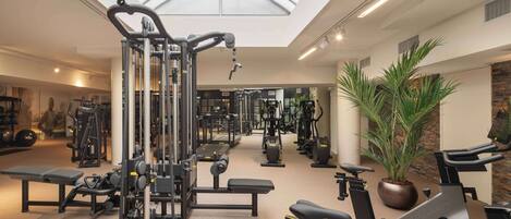 Une salle de sport équipée de divers appareils d’exercice, dotée d’une verrière et agrémentée d’une plante en pot.