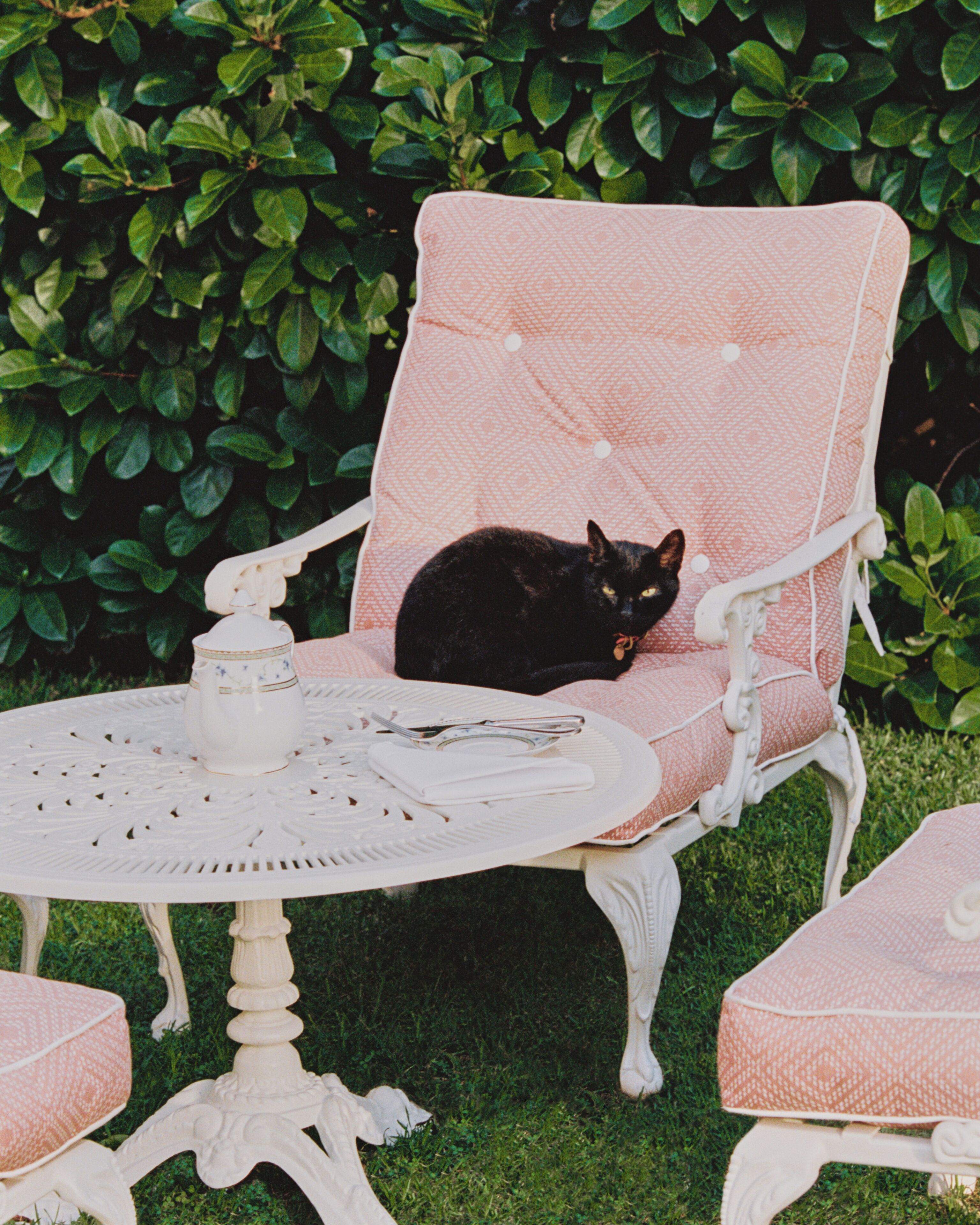 A black cat sitting on a pink upholstered chair with a white table and chair set in front of a green hedge.