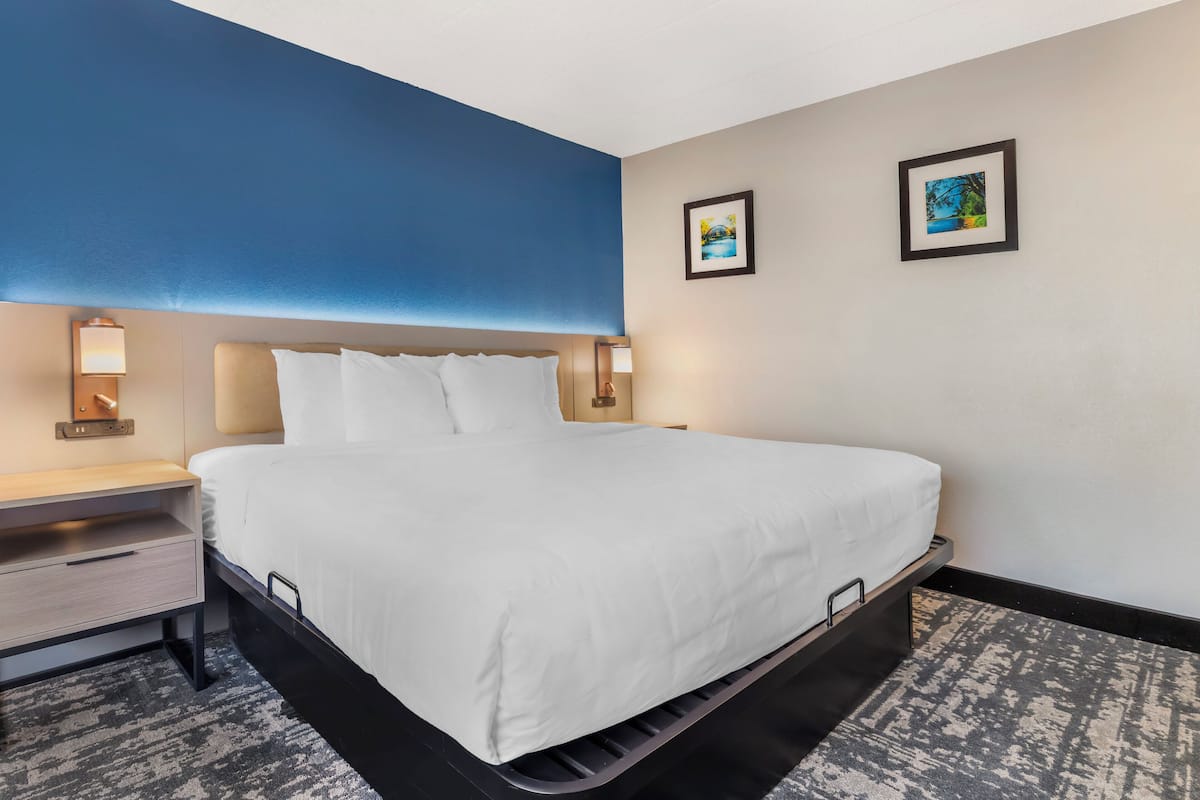 Suite, 1 King Bed, Non Smoking | Premium bedding, desk, laptop workspace, blackout drapes
