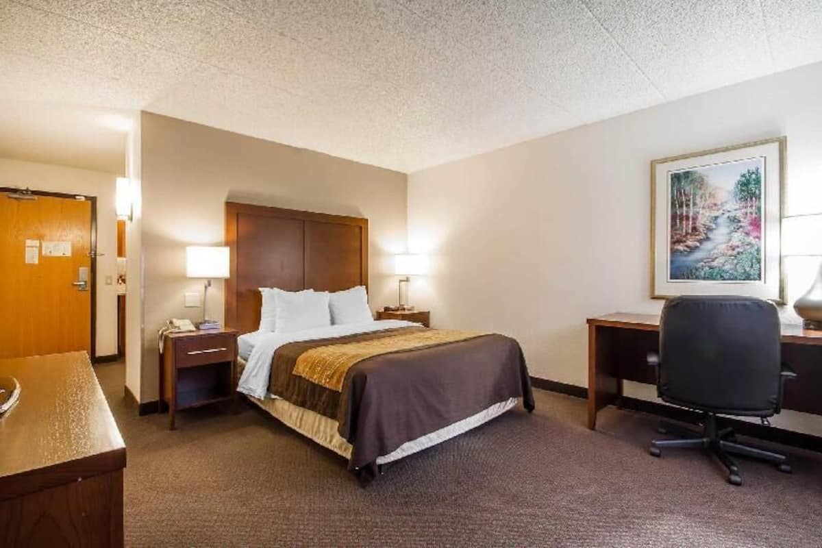 Premium bedding, desk, laptop workspace, blackout curtains