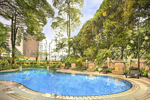 Outdoor pool, pool loungers