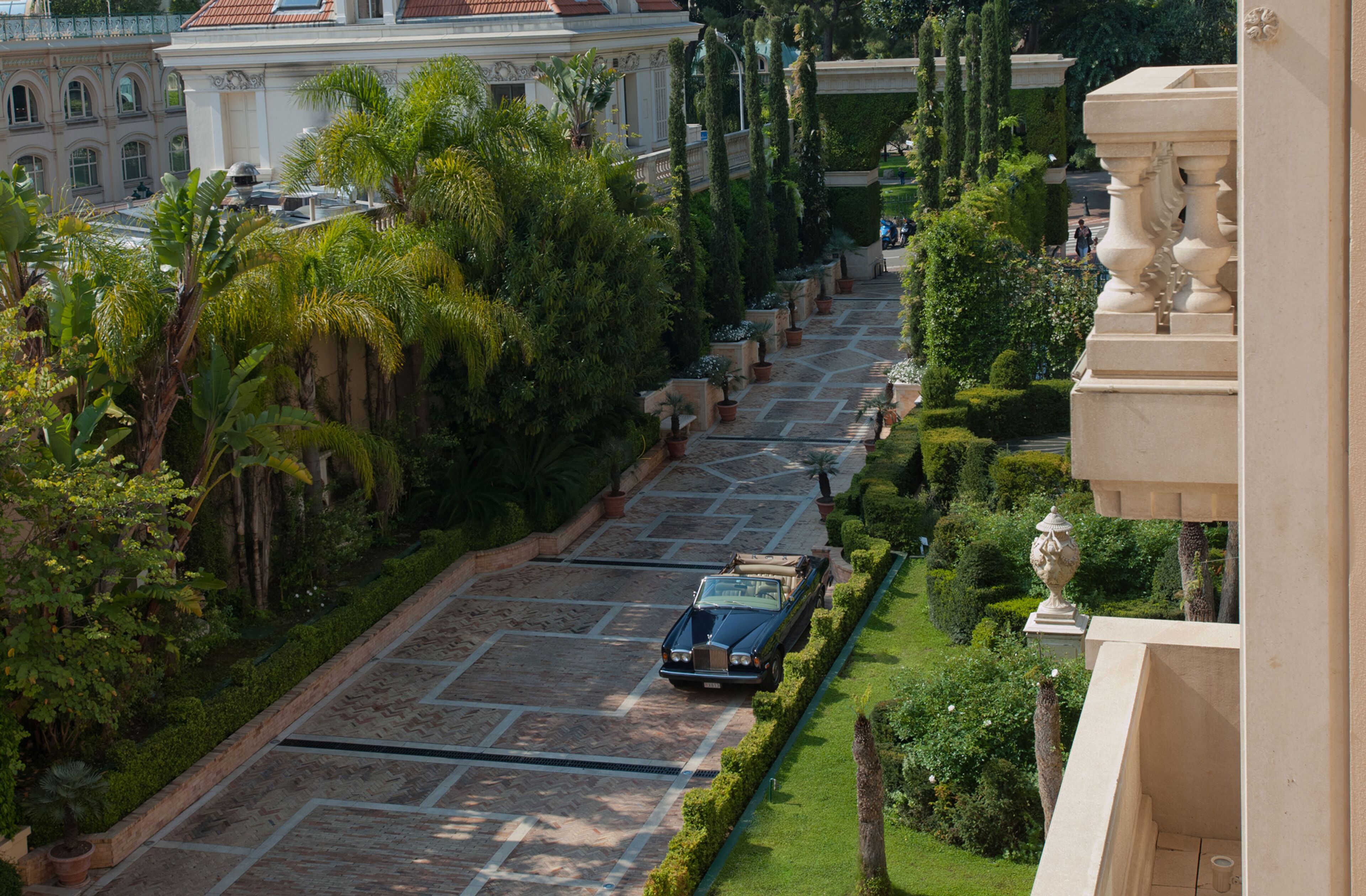 A street lined with palm trees and a car parked on the side.