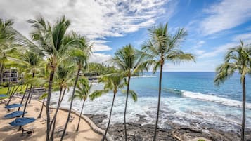 Una playa con palmeras, una costa rocosa y vista al océano.