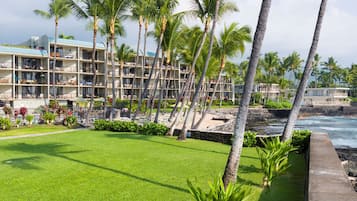 A hotel with multiple floors, a pool area, and palm trees.