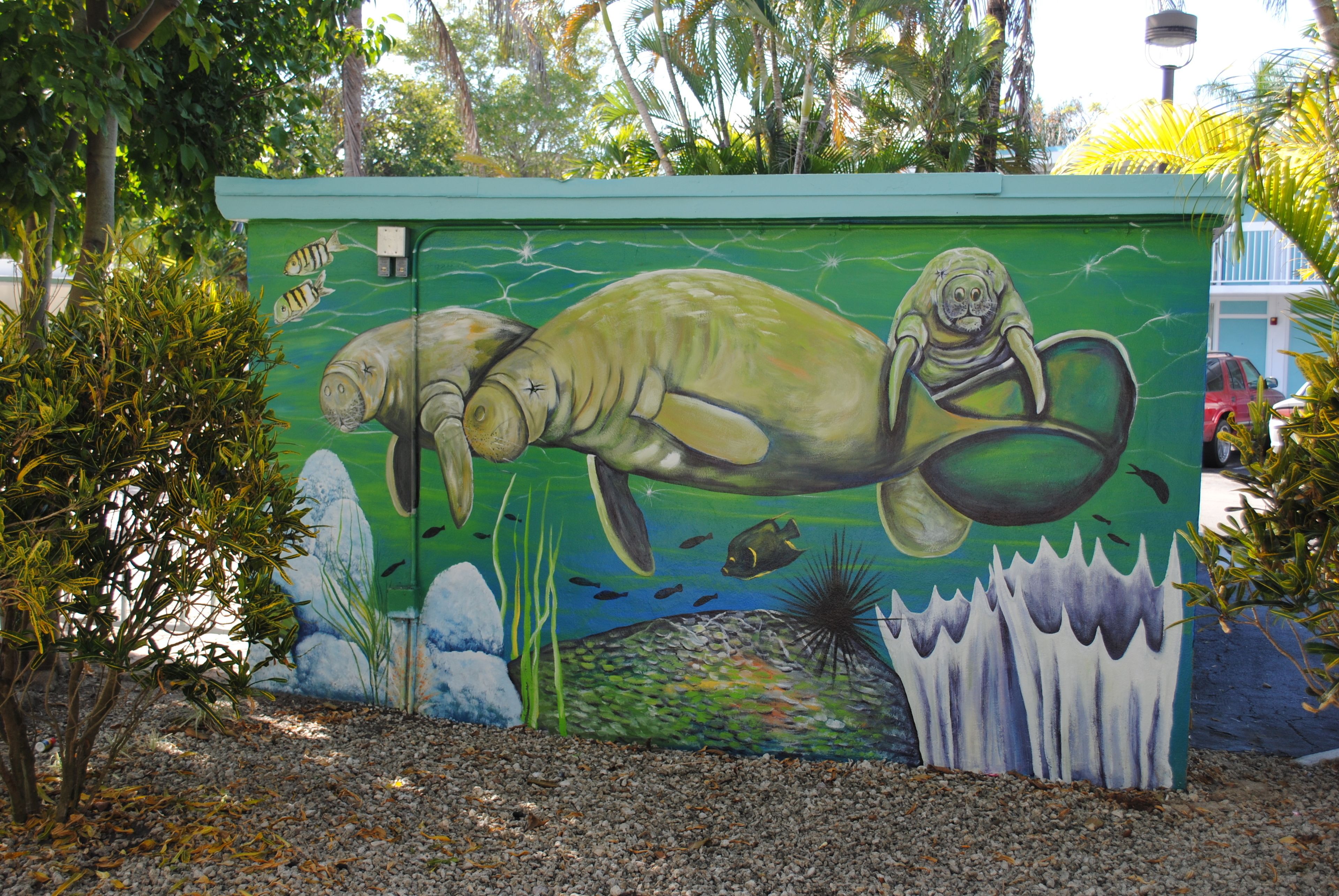 Un mural que muestra un manatí y una tortuga marina sobre un muro verde.