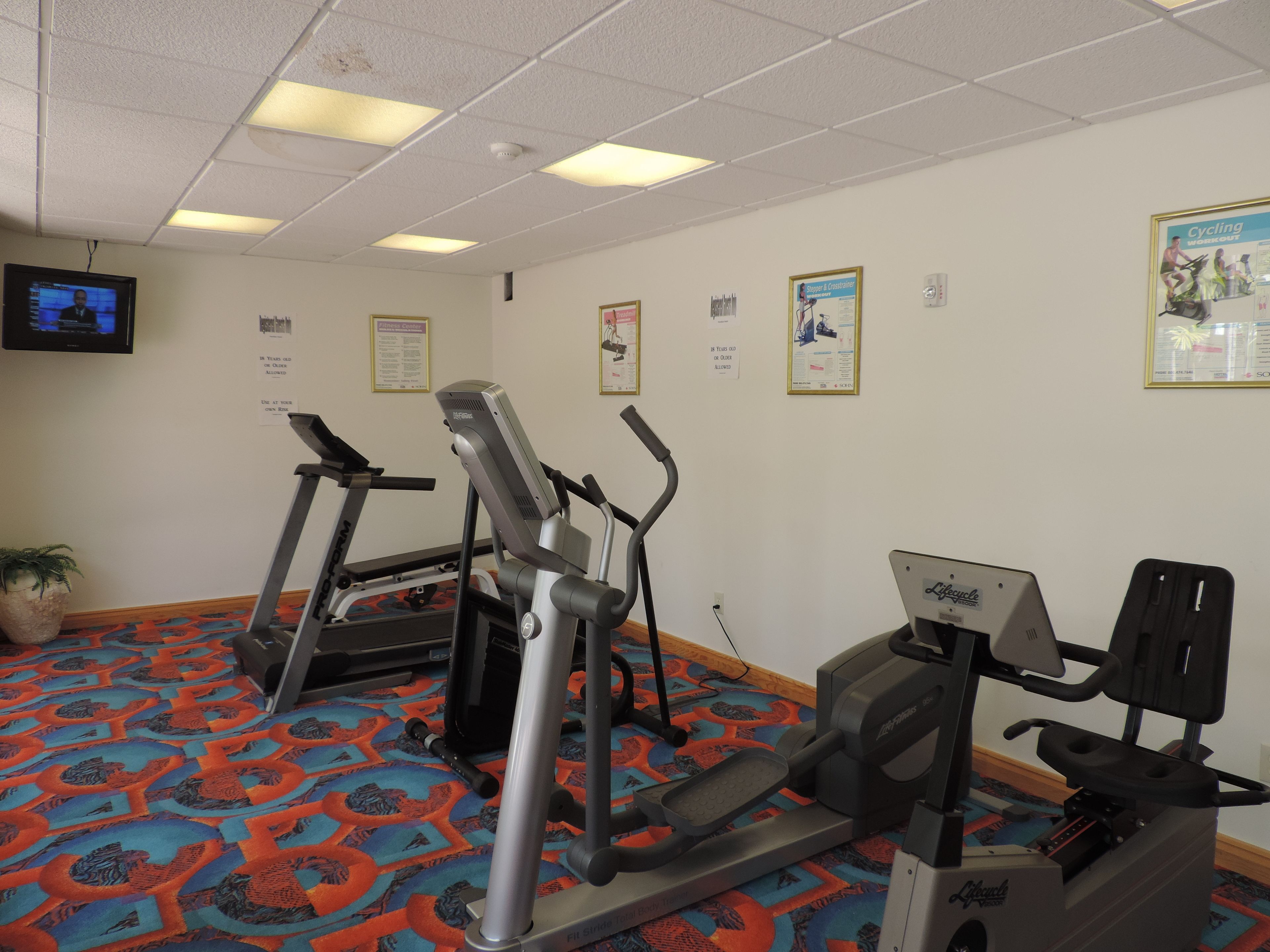 A fitness room with treadmills, elliptical machines, and a stationary bike. There are posters on the walls, a television, and a patterned carpet.