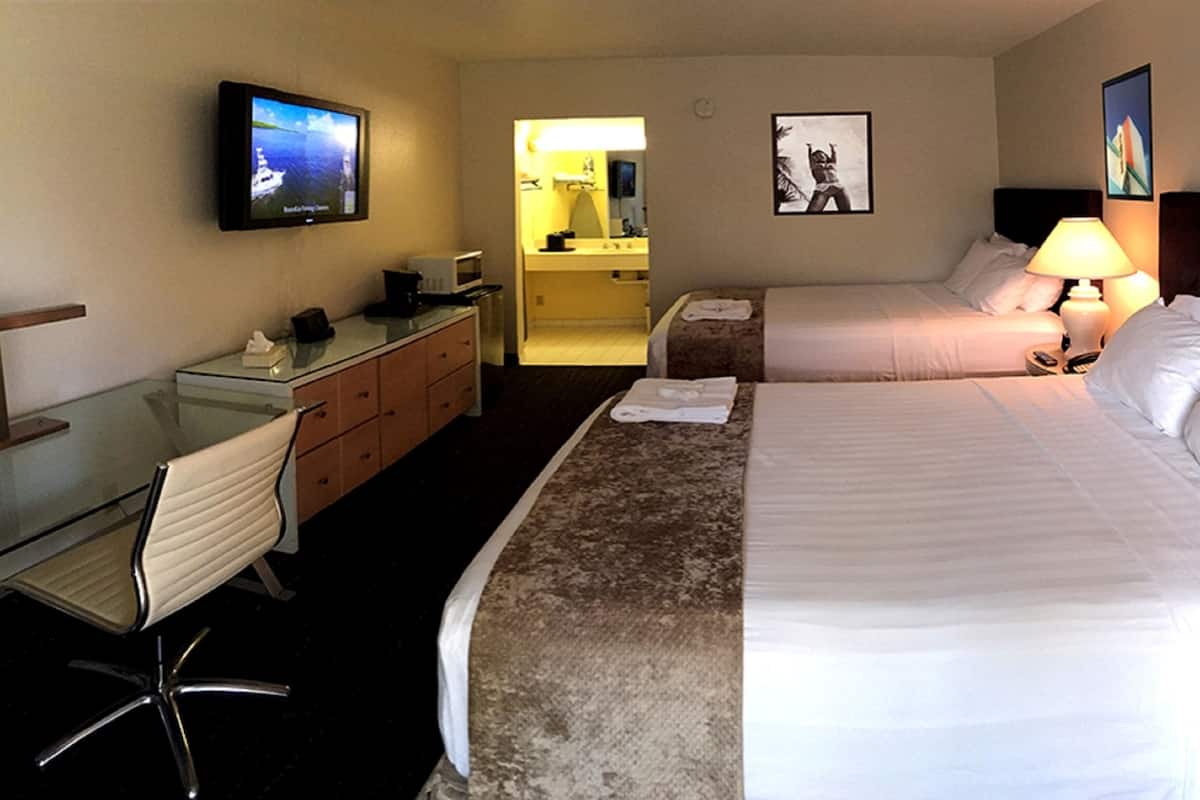 A hotel room with a bed, a desk, a chair, a TV, a bathroom, and a nightstand with a lamp.