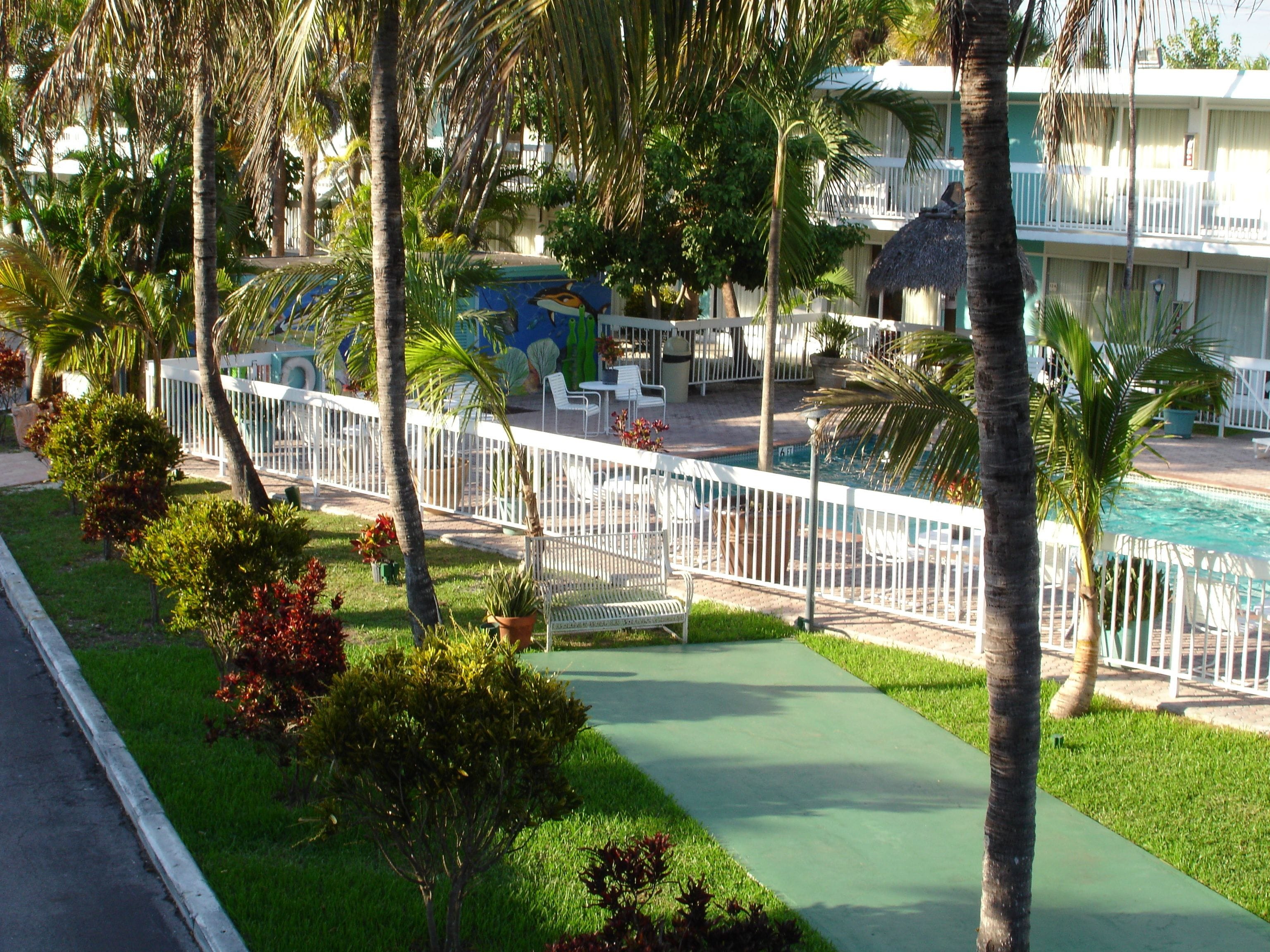 Un área de piscina con valla blanca, sillas de descanso y palmeras.