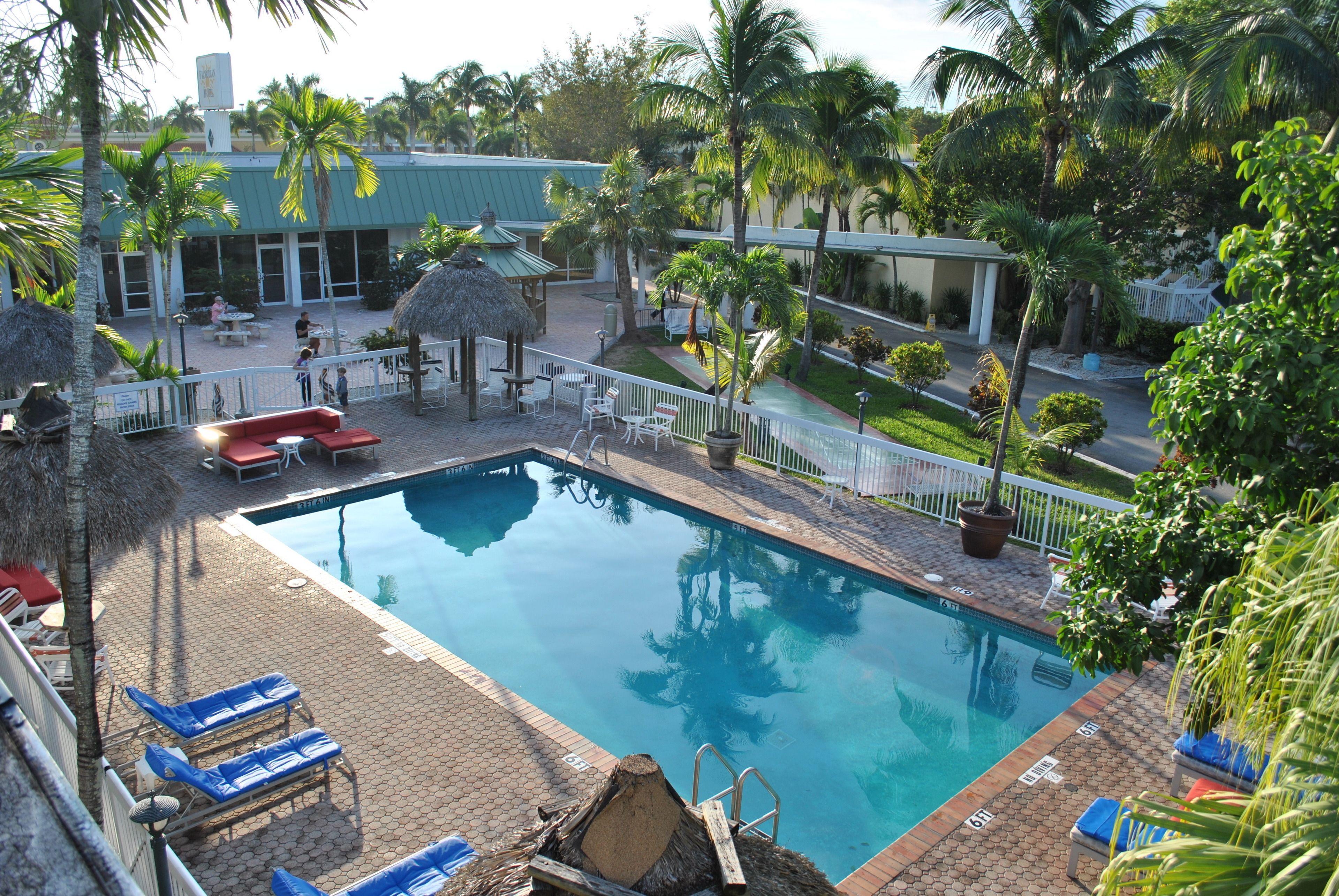A pool area with lounge chairs, a thatched-roof structure, and surrounding palm trees.