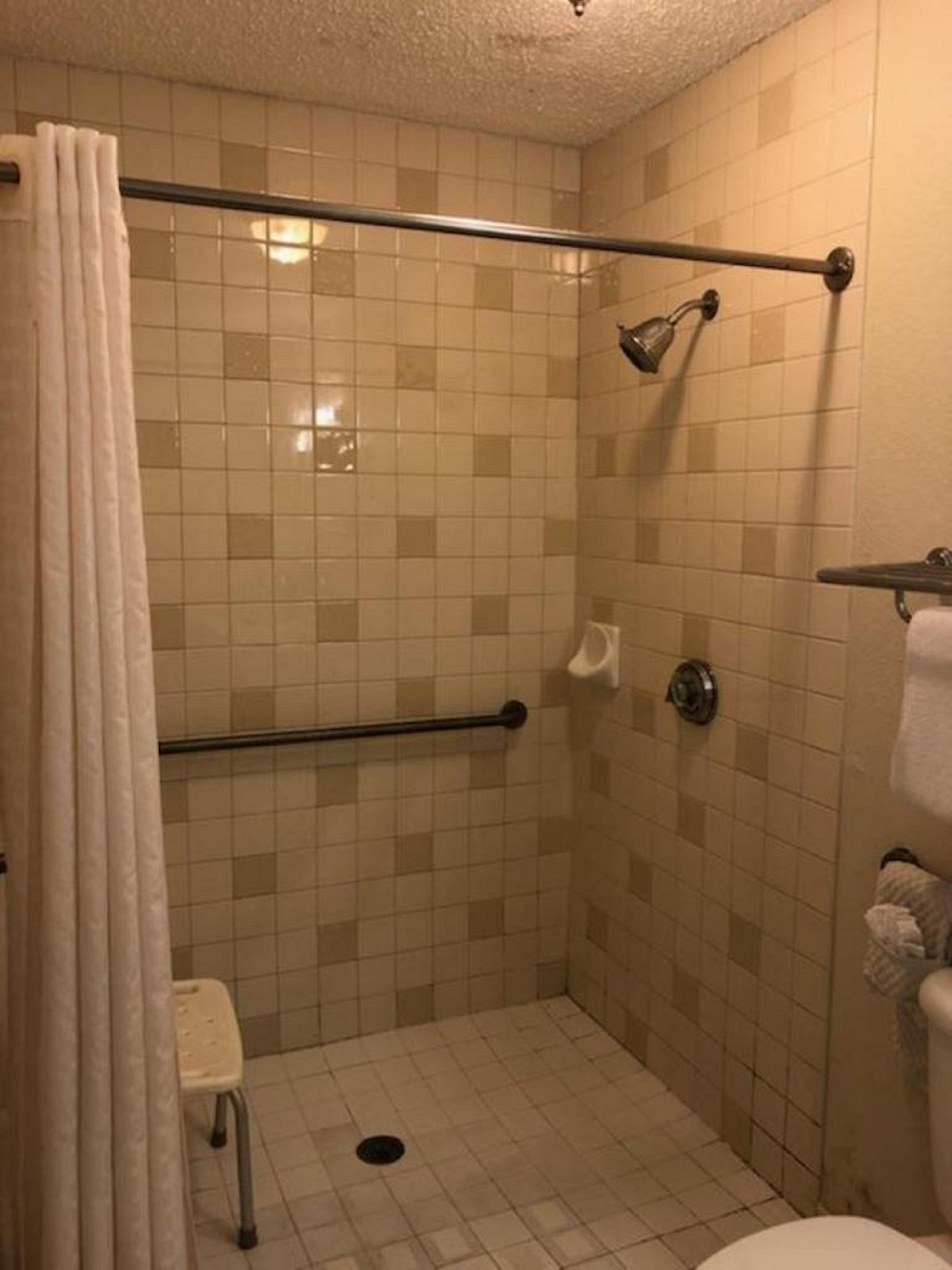 A small, tiled shower area with a grab bar, a toilet, and a showerhead.