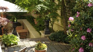 A patio area with a wooden bench, potted plants, and a staircase leading to a covered area.
