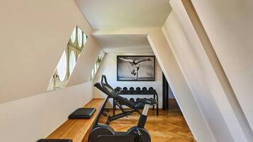A gym with exercise equipment, a mirrored wall, and a painting of a dancer.