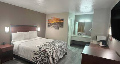 Red Roof Inn Shamrock