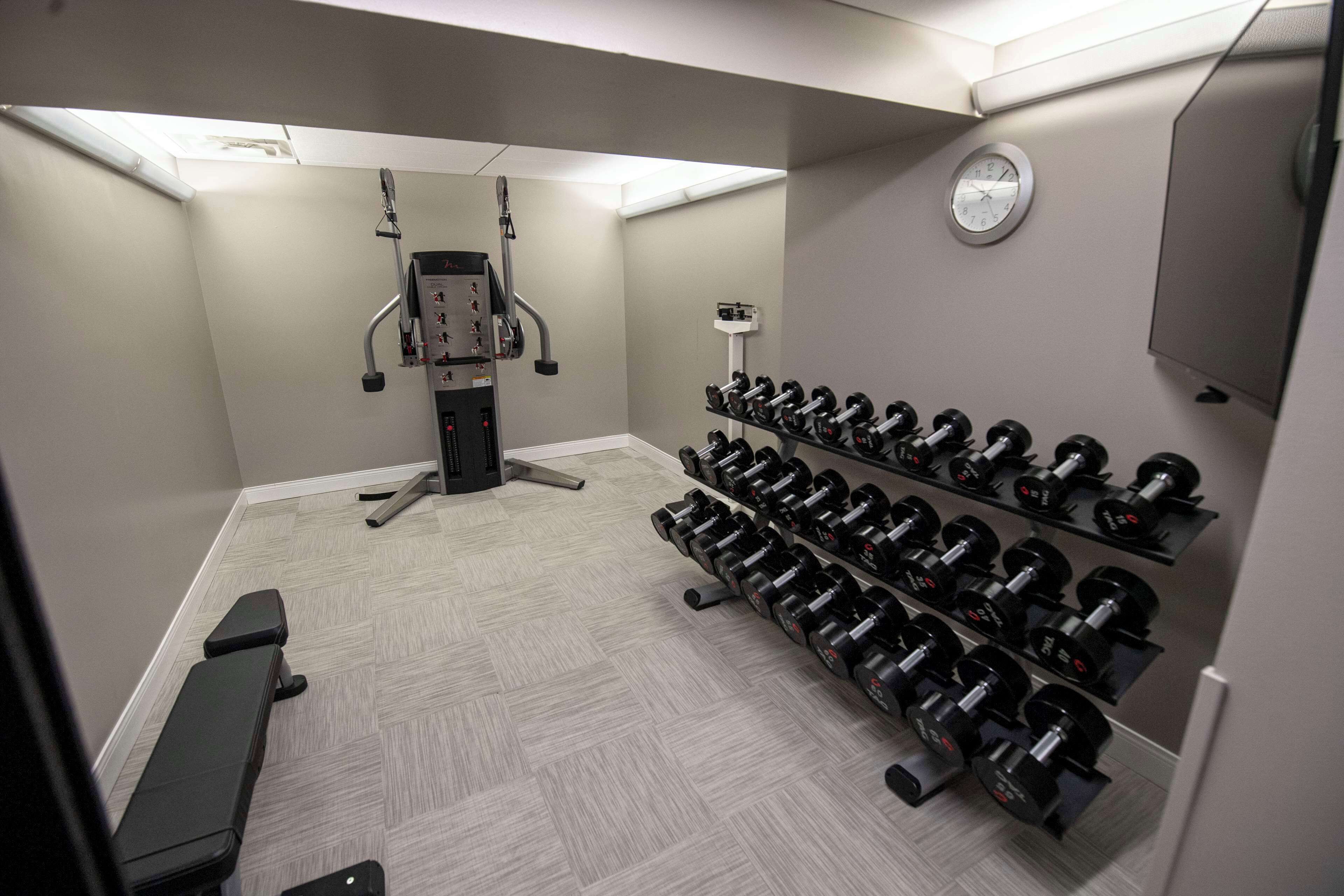 A gym with a bench, a squat rack, and multiple rows of dumbbells.