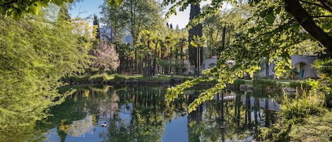 A serene pond surrounded by lush greenery and trees, with a clear reflection of the sky and foliage.