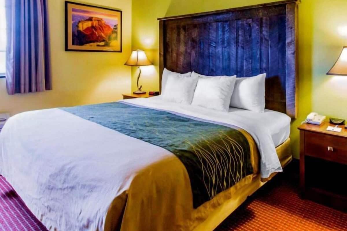 Premium bedding, desk, blackout drapes, iron/ironing board