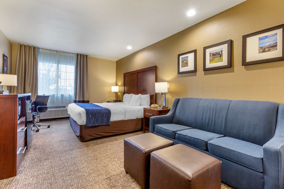 A hotel room with a bed, a sofa, a desk, and a chair.