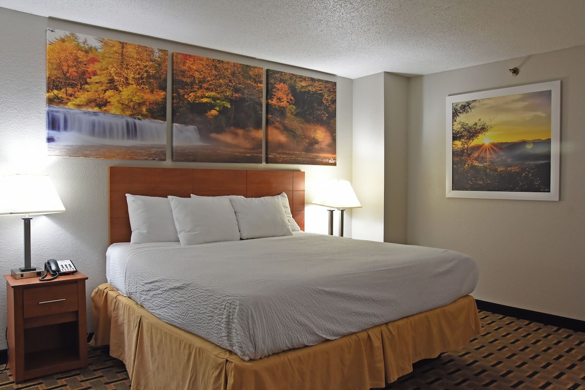 A hotel room with a large bed, two bedside lamps, a nightstand with a phone, and three wall-mounted paintings depicting nature scenes.