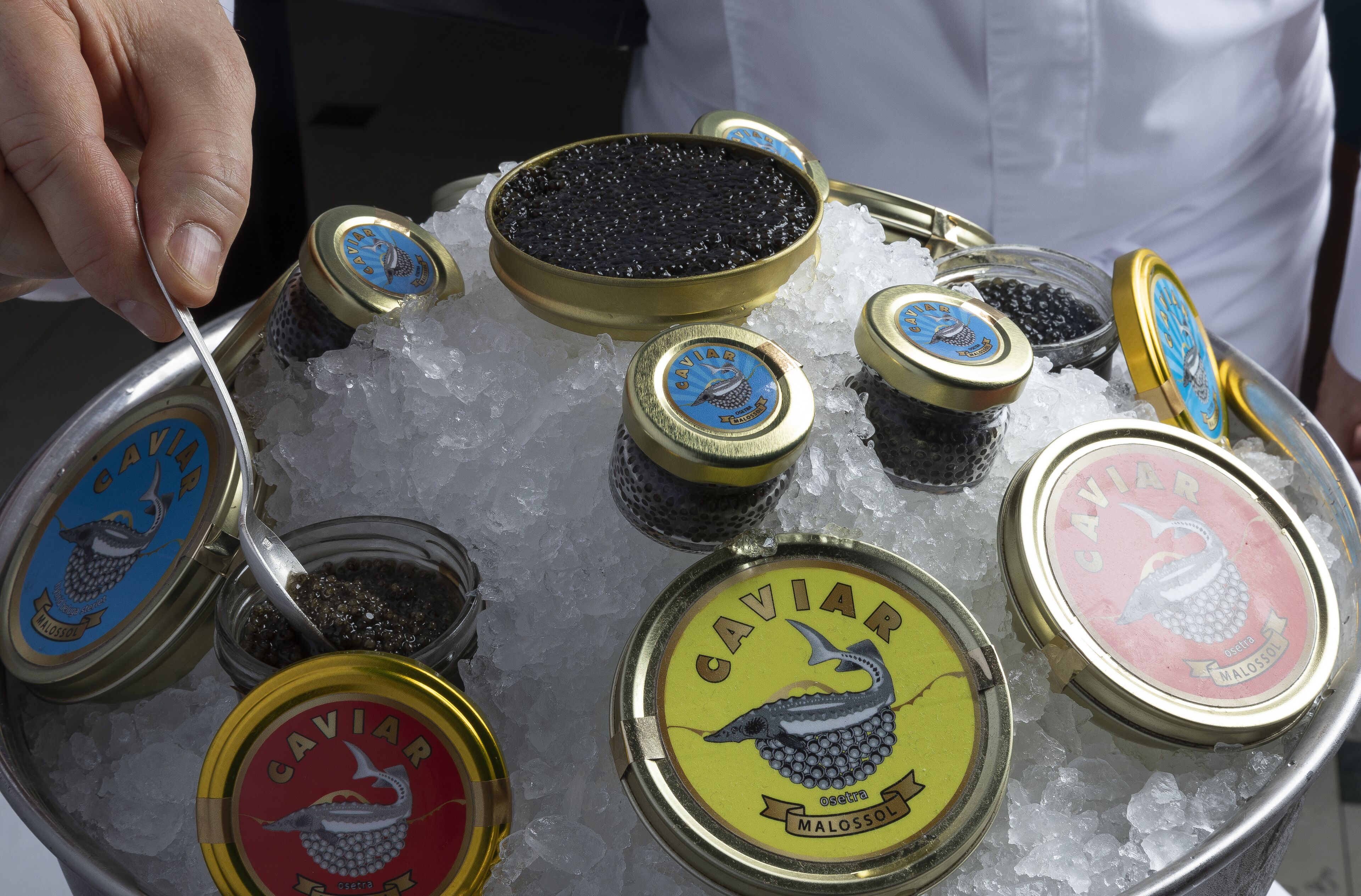 A tray of ice with various Caviar tins.