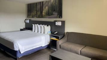 Habitación de hotel con cama, sofá, mesita pequeña, mesita de noche con teléfono y un cuadro de un bosque en la pared.
