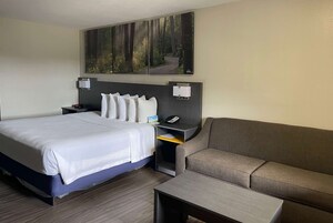 Habitación de hotel con cama, sofá, mesita pequeña, mesita de noche con teléfono y un cuadro de un bosque en la pared.