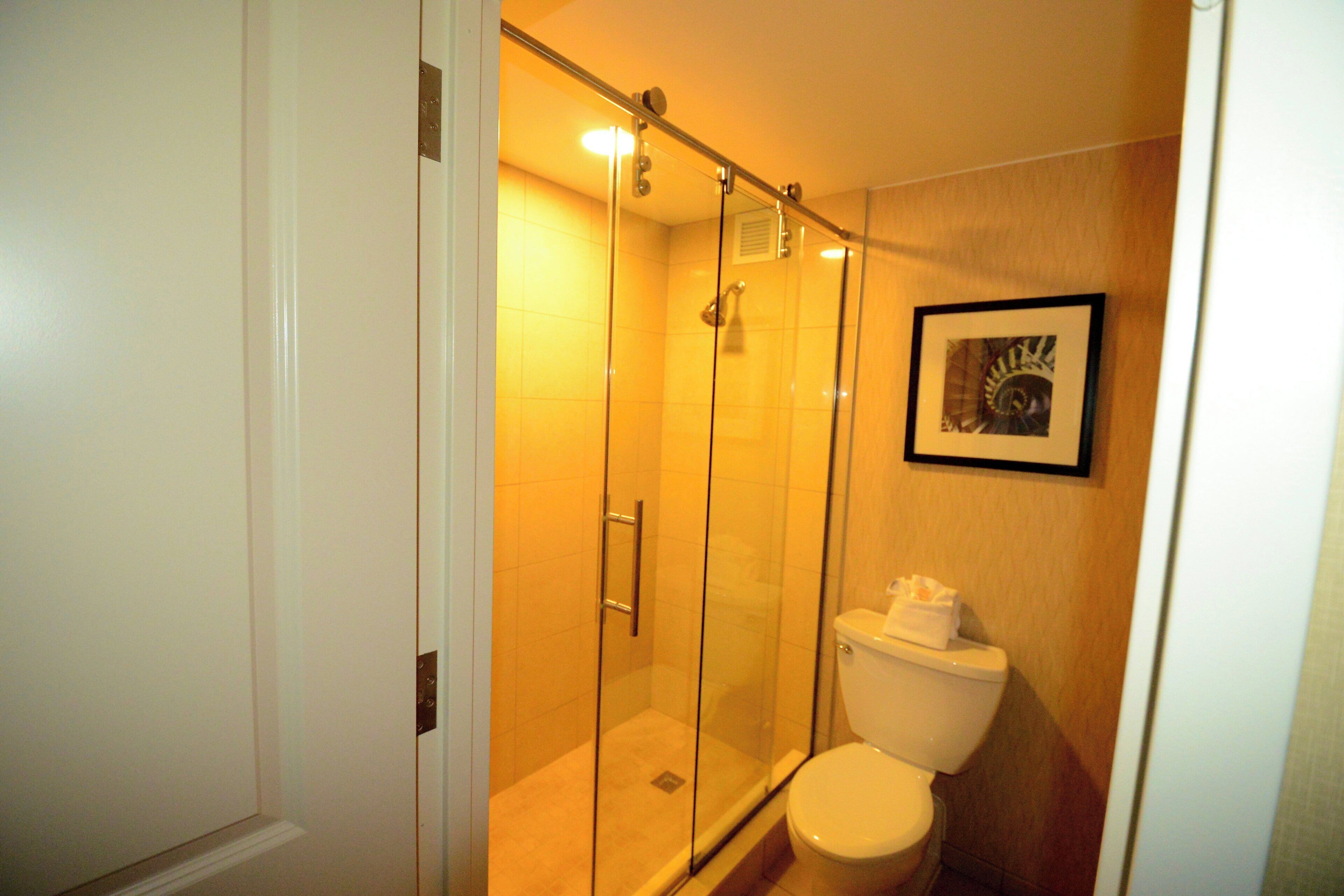 Une salle de bain avec une douche à parois de verre, des toilettes et un tableau encadré au mur.
