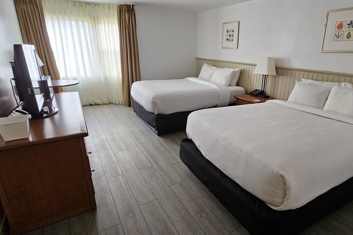 Renovated Standard 2 Queen beds - North building | 1 bedroom, premium bedding, in-room safe, blackout drapes