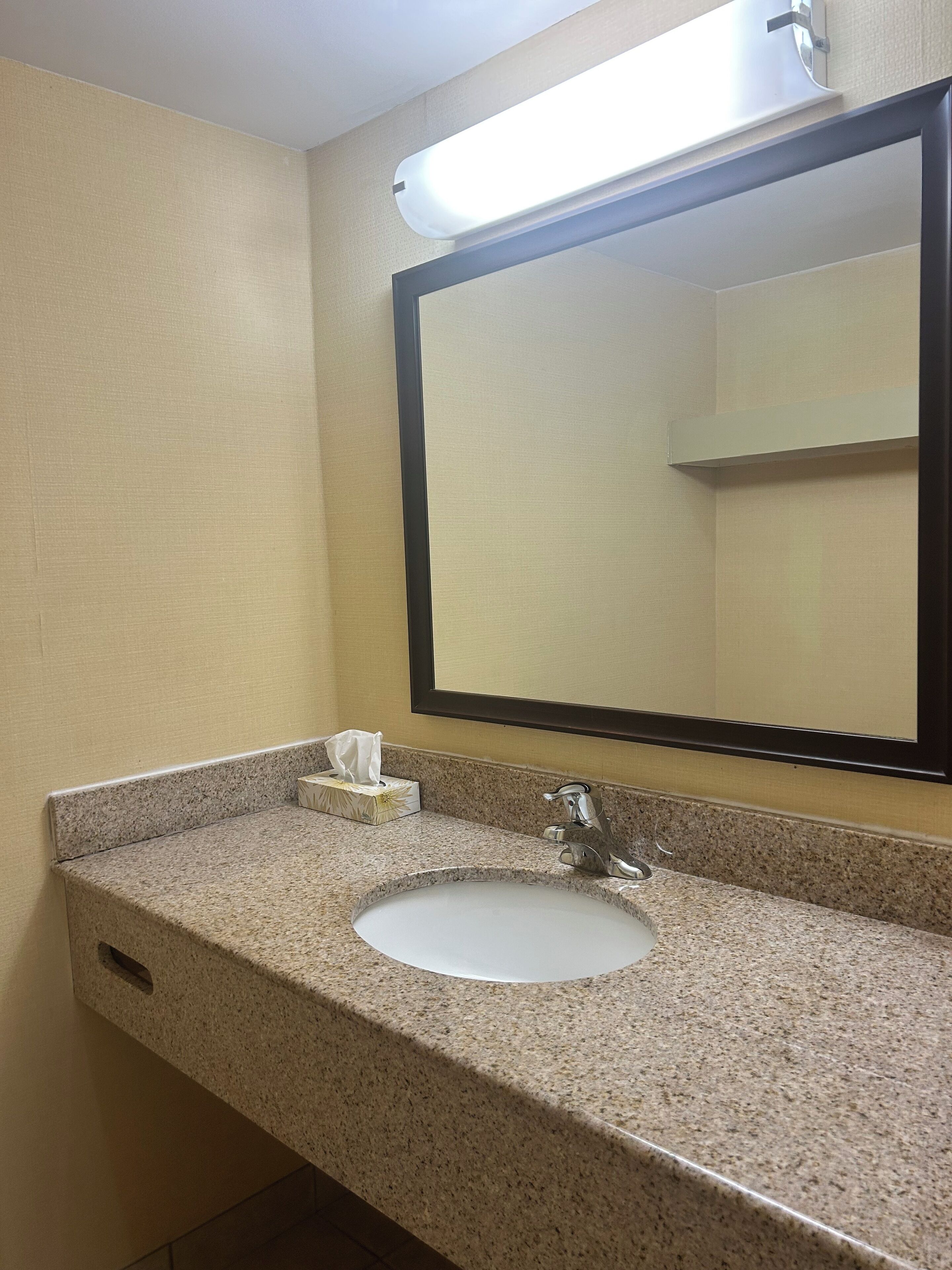 A bathroom with a granite countertop, a sink, a mirror, and a tissue box.