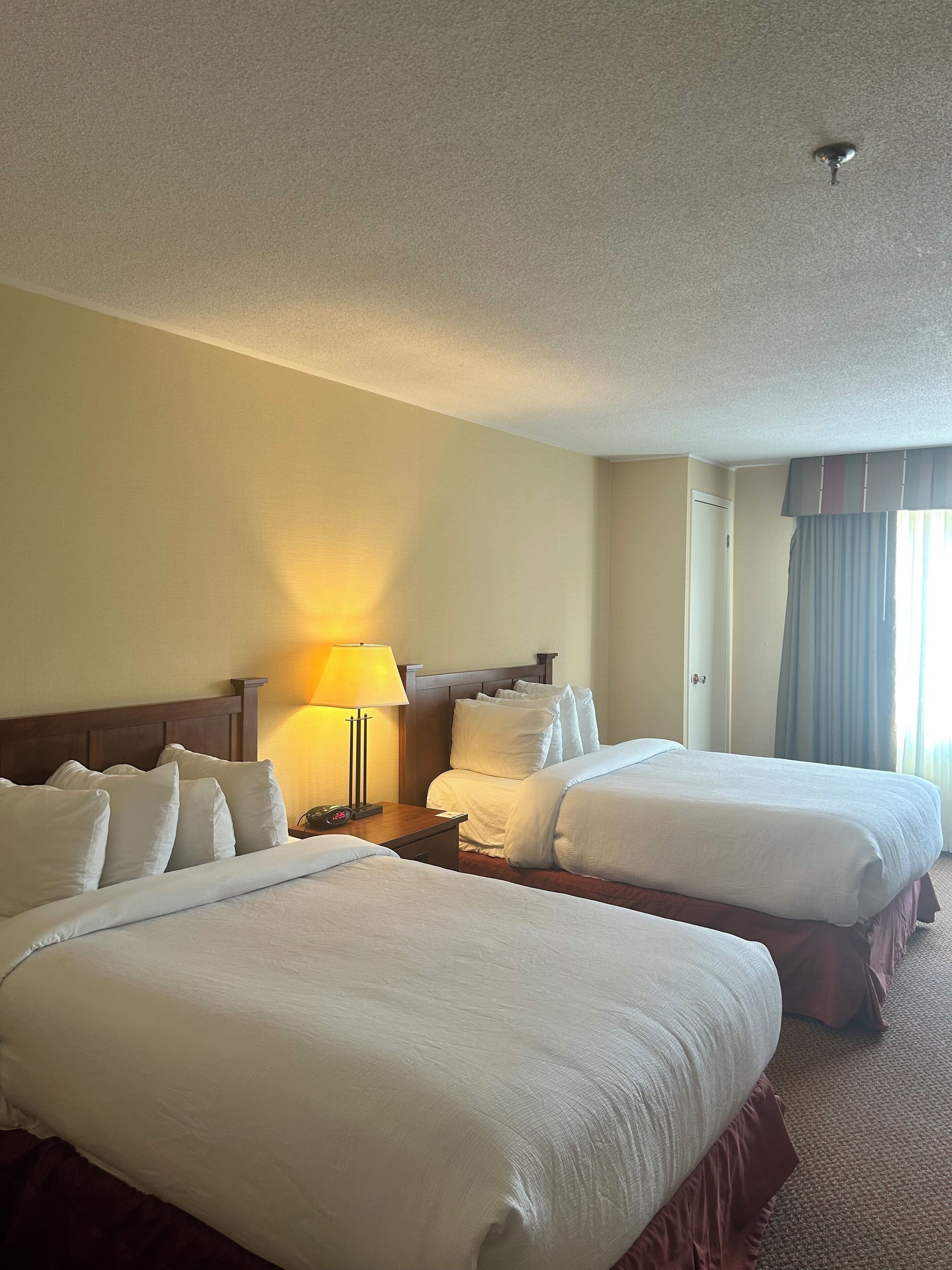 Standard 2 Double Bed - Main Building | Premium bedding, in-room safe, blackout drapes, iron/ironing board