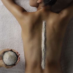 Bilik rawatan pasangan, sauna, rawatan badan, aromaterapi