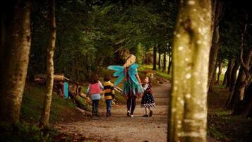 A forest path with people walking.
