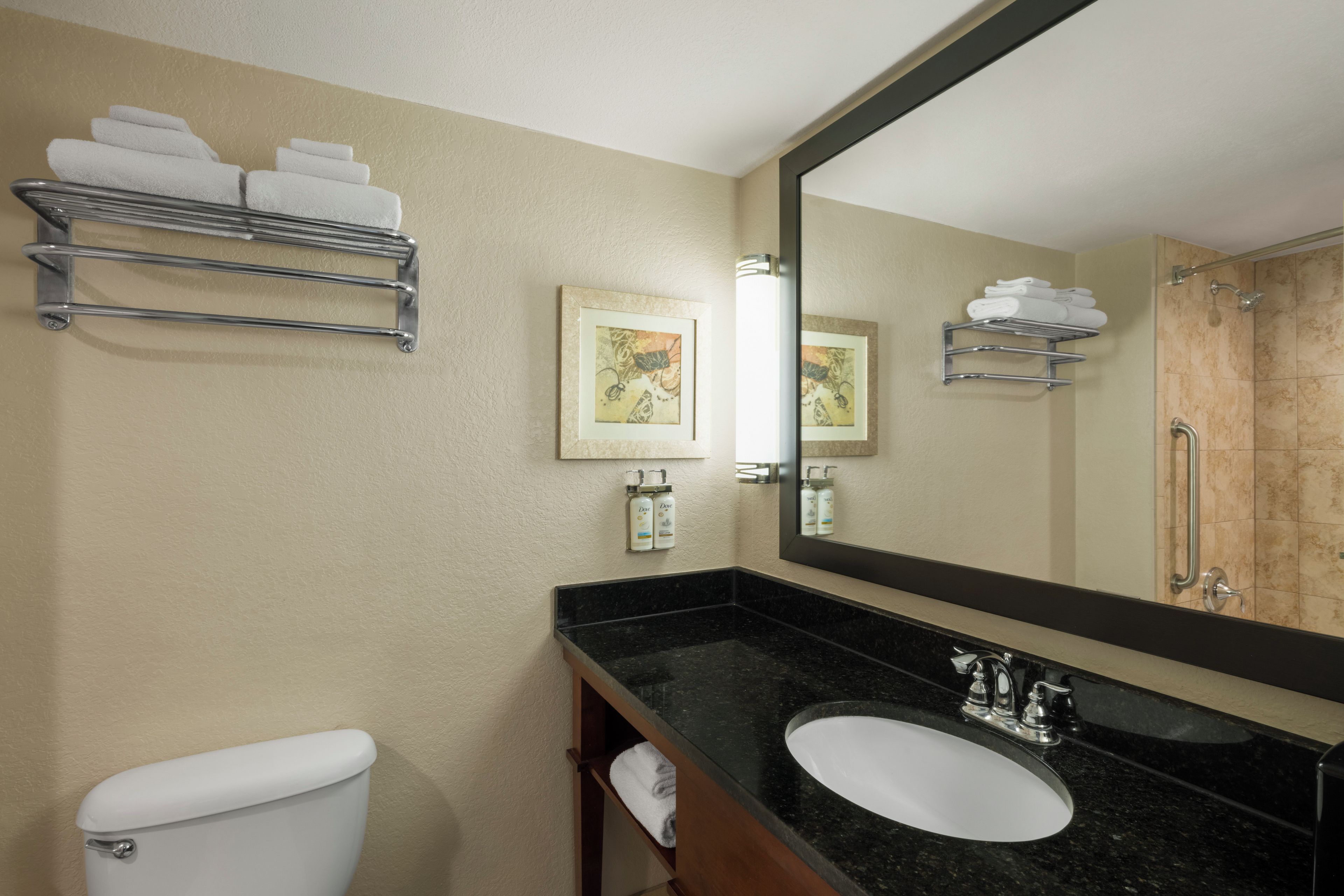 Une salle de bain avec des toilettes, un lavabo et un grand miroir. On y trouve des porte-serviettes avec des serviettes pliées et deux tableaux encadrés accrochés au mur.