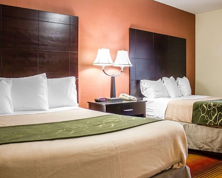 Cunas gratuitas, camas plegables/adicionales y wifi gratis