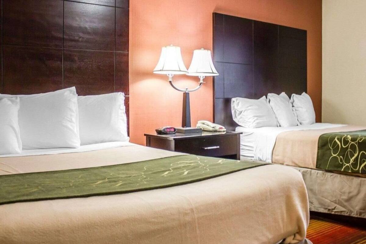 Cribs (free), rollaway beds (surcharge), WiFi (free), bed sheets