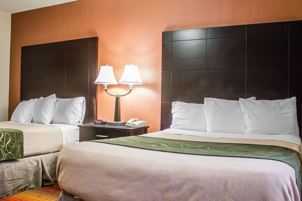 free cots/infant beds, rollaway beds, free wifi, bed sheets