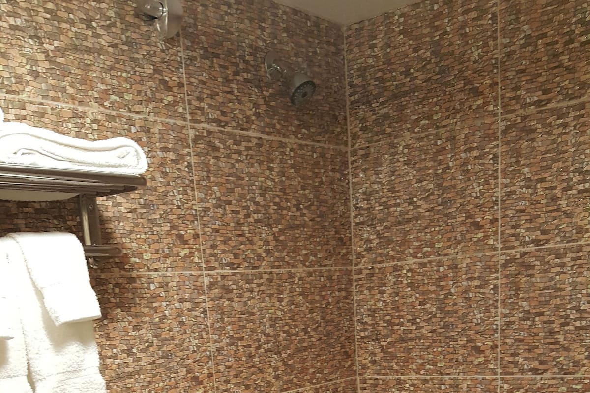 Free toiletries, hair dryer, towels