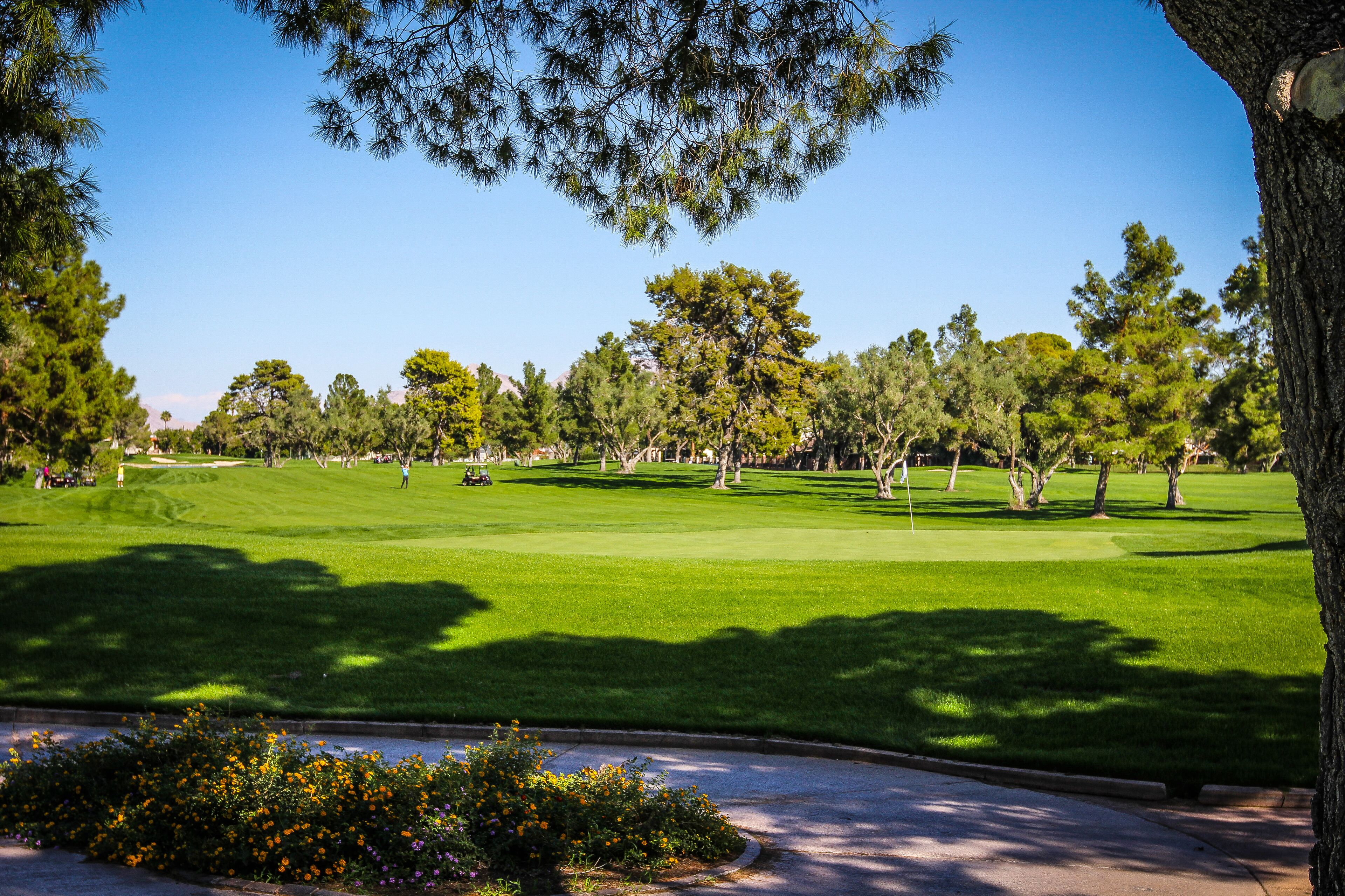 A well-maintained golf course with a clear sky, lush green grass, and a variety of trees.