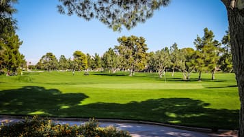 Un parcours de golf bien entretenu, avec un ciel dégagé, une végétation luxuriante et une grande variété d’arbres.